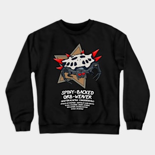 Spiny-Backed Orb-Weaver Crewneck Sweatshirt